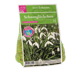 Blumenzwiebel Schneeglöckchen weiß