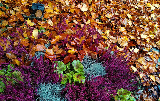 Spatenstich auf dem Friedhof zur Herbstbepflanzung! (IMG_20201005_105516.jpg)