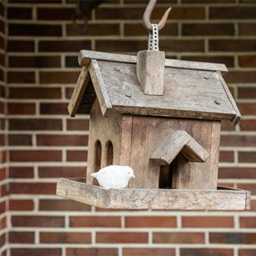 Diese Arbeiten sind jetzt im Garten noch nötig