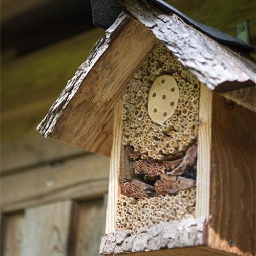 Ein Insektenhotel im Garten